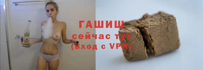индика Алзамай