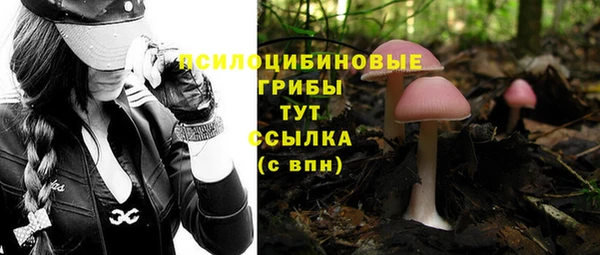 дмт Абдулино