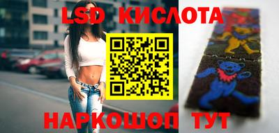 дмт Ярославль