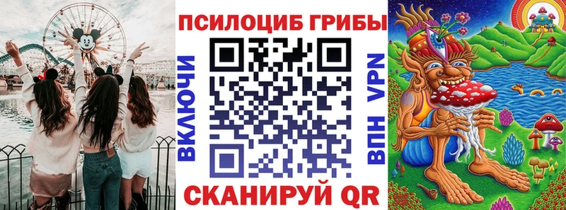Псилоцибиновые грибы прущие грибы  ОМГ ОМГ ссылка  Новоалександровск 