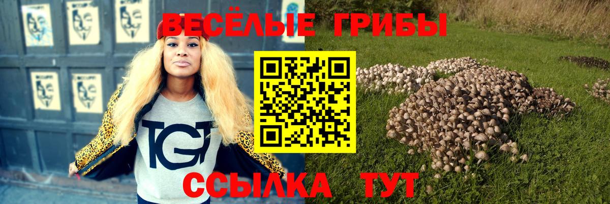 Псилоцибиновые грибы Magic Shrooms Новоалександровск