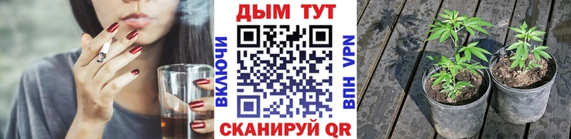 МАРИХУАНА AK-47 Новоалександровск