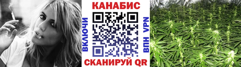 наркота  Новоалександровск  Конопля Bruce Banner 
